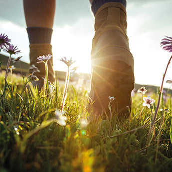 Rückansicht von Wanderschuhen und Beinen in blühender Graslandschaft
