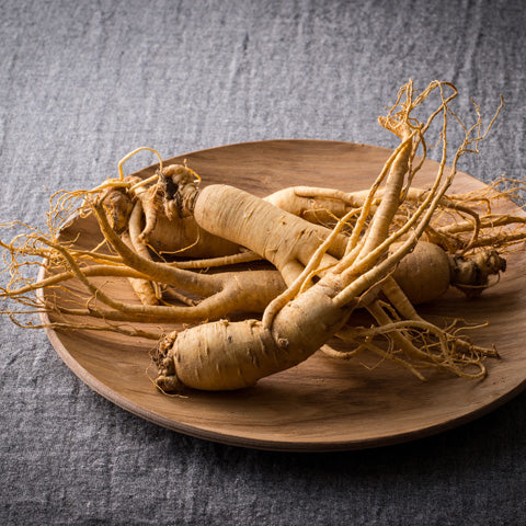 Ginseng – Knolle fürs Wohlgefühl