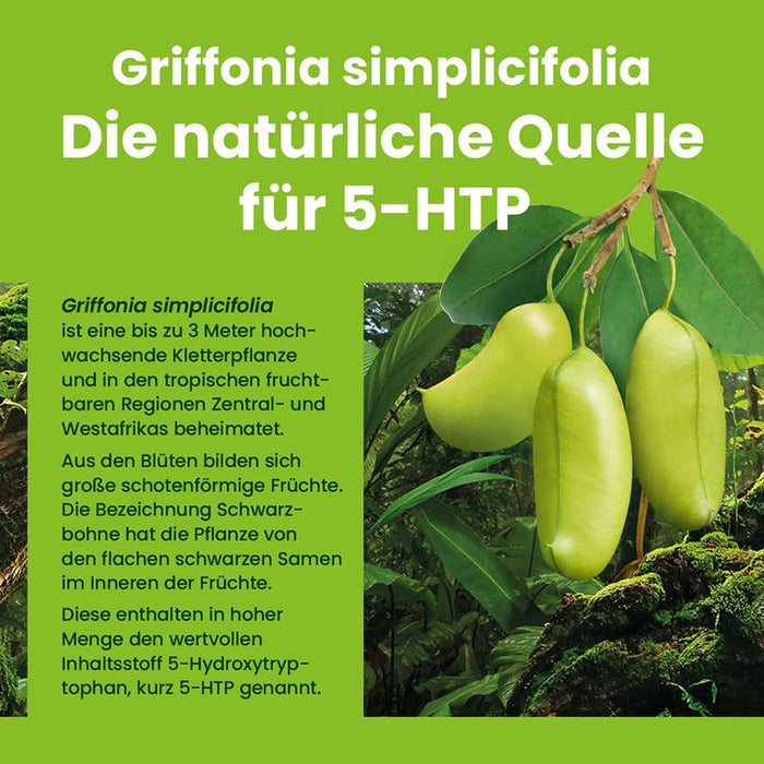 Alsiroyal - Stimmungs-Balance Griffonia, 60 Kaps.