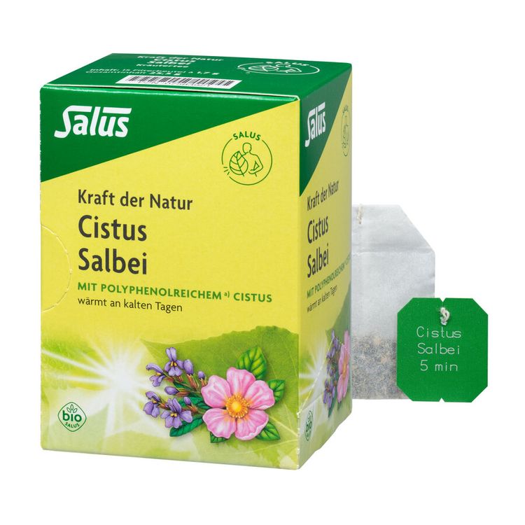 Salbei
