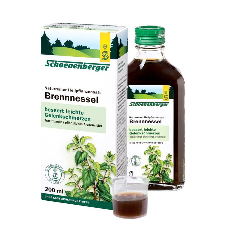 Brennnessel