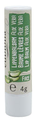 Eubiona - Lippenbalsam Aloe Vera, 4g